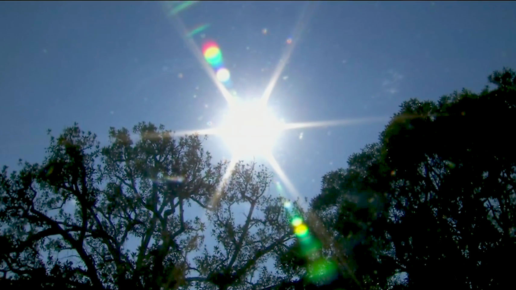 Dangerous heat waves likely to be more common in the next 20 years