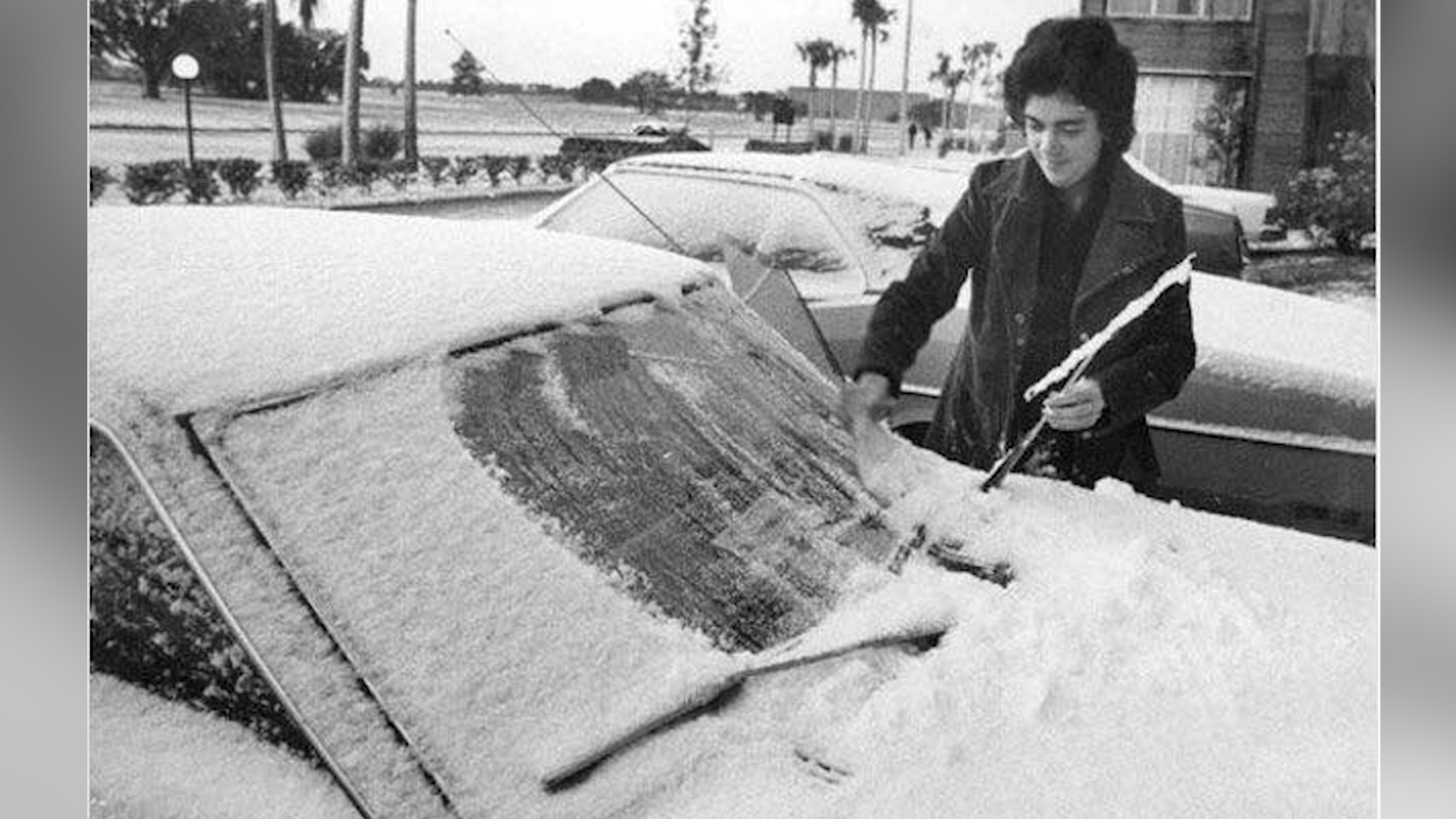 Hace 45 años nevó en Miami: ¿Es posible que vuelva a ocurrir? | Video |  Univision 23 Miami WLTV | Univision
