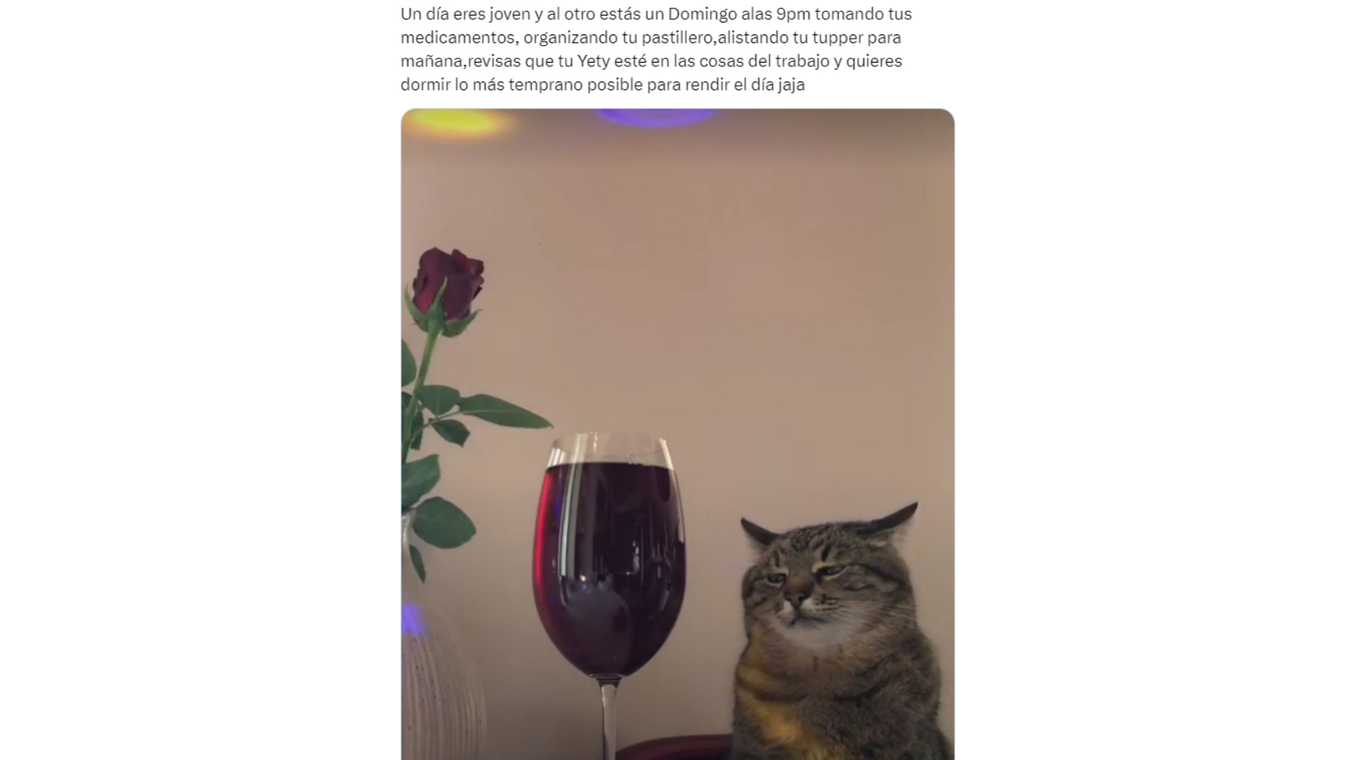 No veo fallas en la lógica 😂☕️, image size:1920x1080