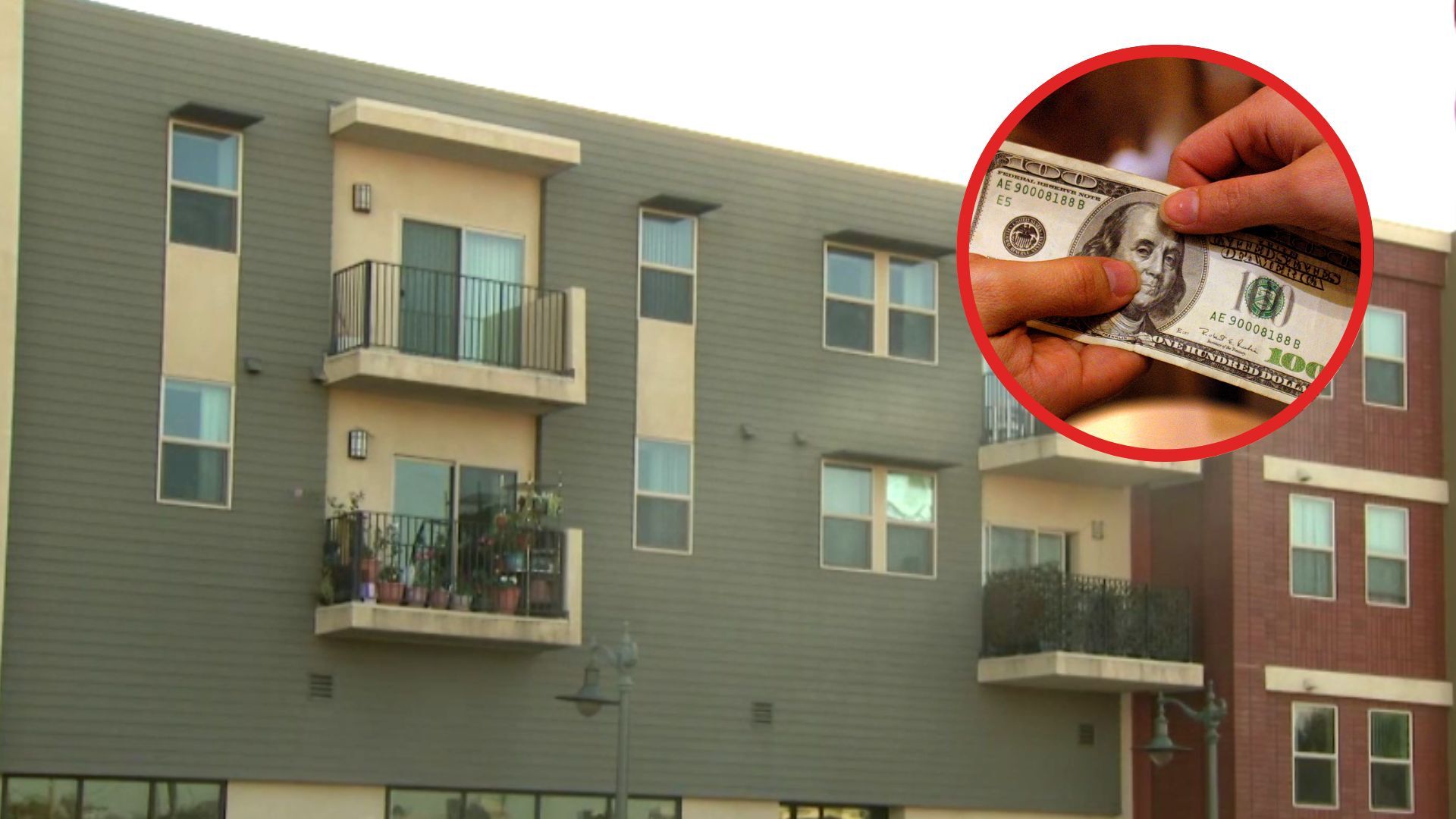 Estos son los requisitos para que puedas aplicar al programa de