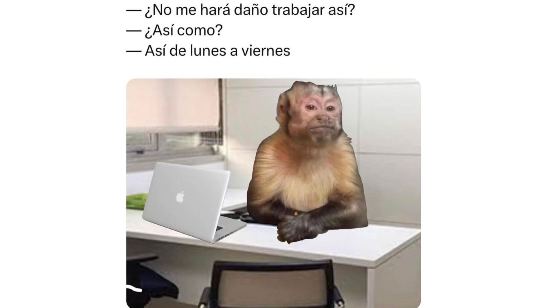 jefe de trabajo memes
