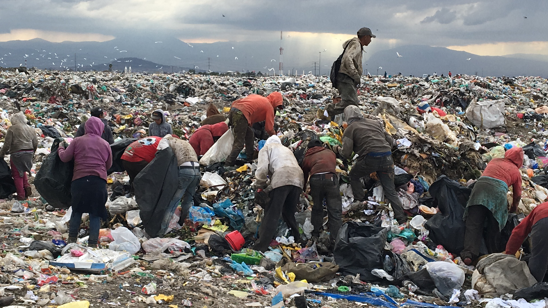 Recycling misery How CocaCola profits from garbage collected by