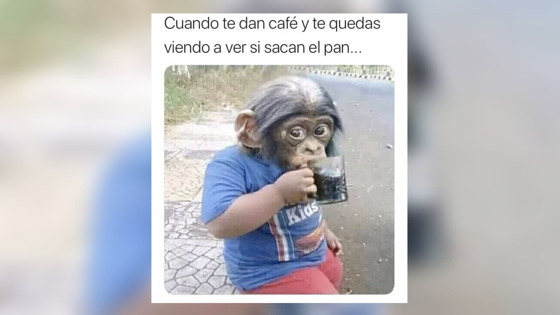 Los mejores memes de la semana o café sin pan, tú decides Estaciones de Radio Radio Nacional Los mejores memes de la semana o café sin pan, tú decides Estaciones de Radio Radio Nacional