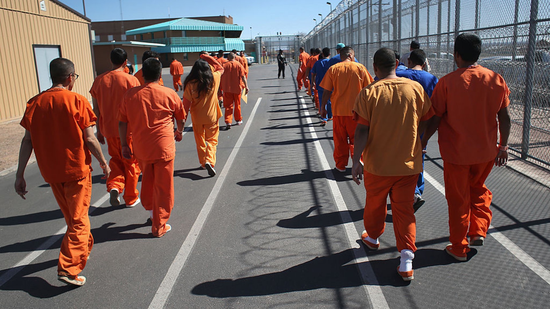 Dejen libres a casi 100 | Shows ...