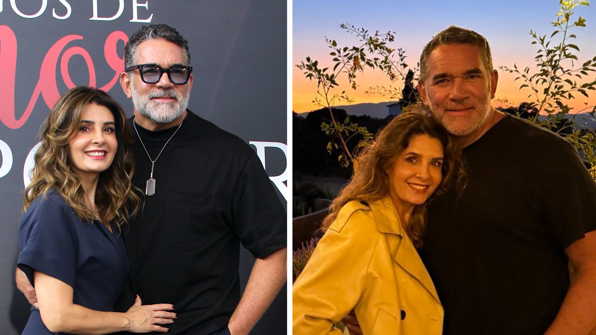 En qué telenovelas compartieron créditos Mayrín Villanueva y Eduardo  Santamarina? | Shows Famosos | Las Estrellas