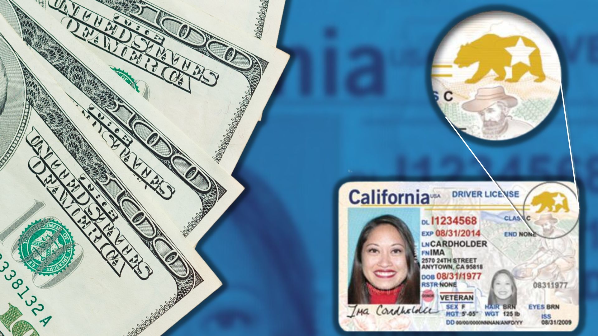 California Real Id Cost 2025 Lydie Celeste