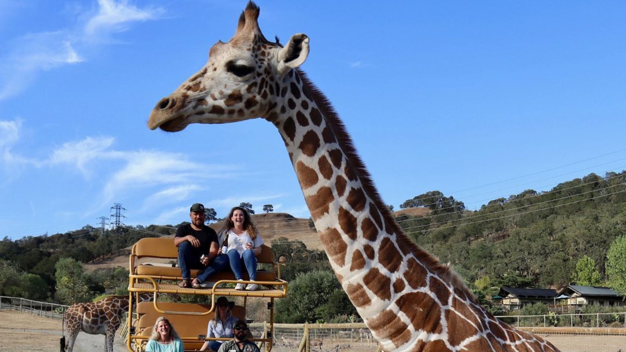 as-es-safari-west-el-parque-de-conservaci-n-natural-nico-en