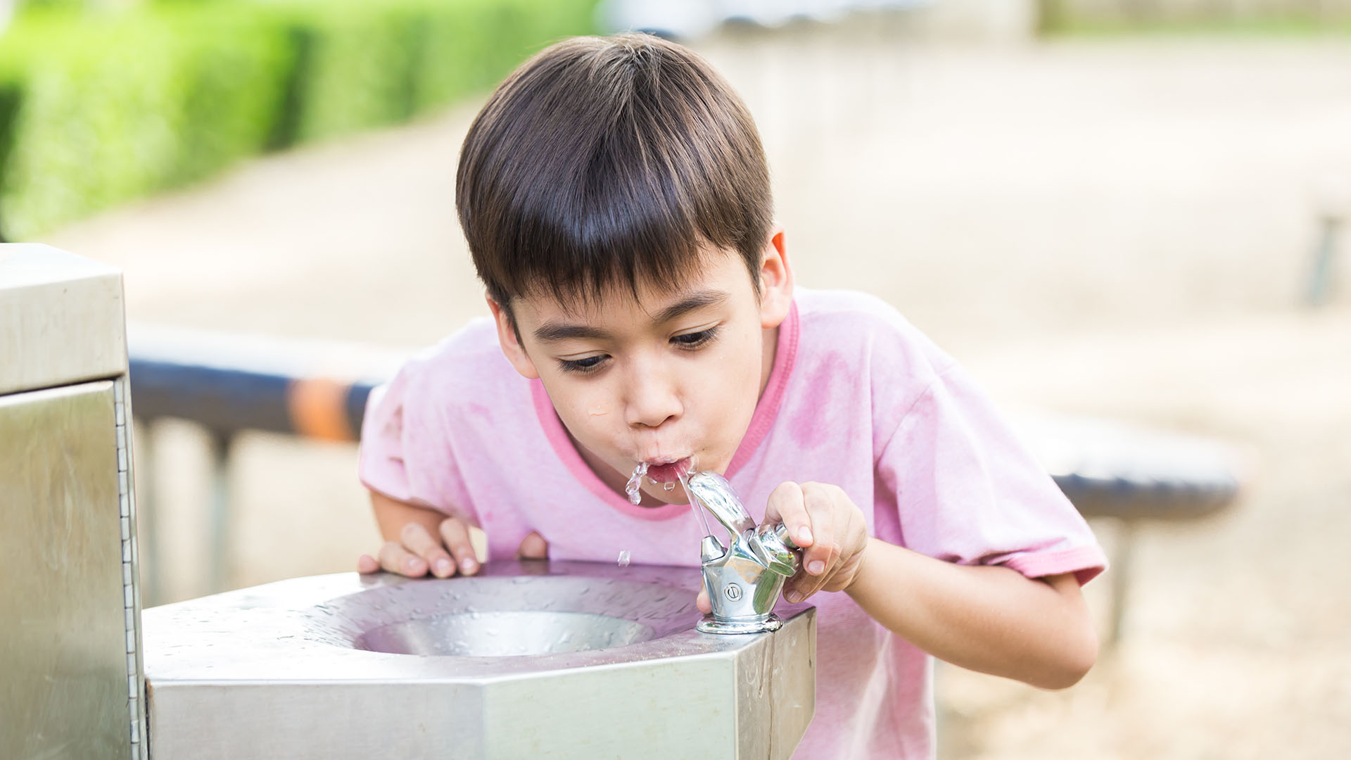 ¿Tu hijo toma agua del bebedero