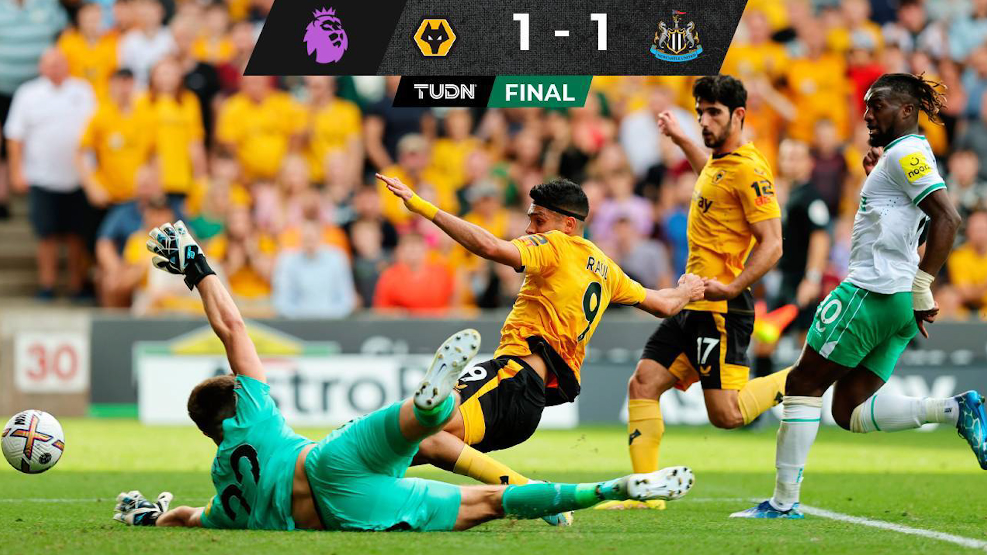 Вулверхэмптон уондерерс ньюкасл юнайтед 28 октября. Вулверхэмптон ньюкасл. Ньюкасл футбол. Барселона юнайтед. Ньюкасл - вулверхэмптон футбол фото.