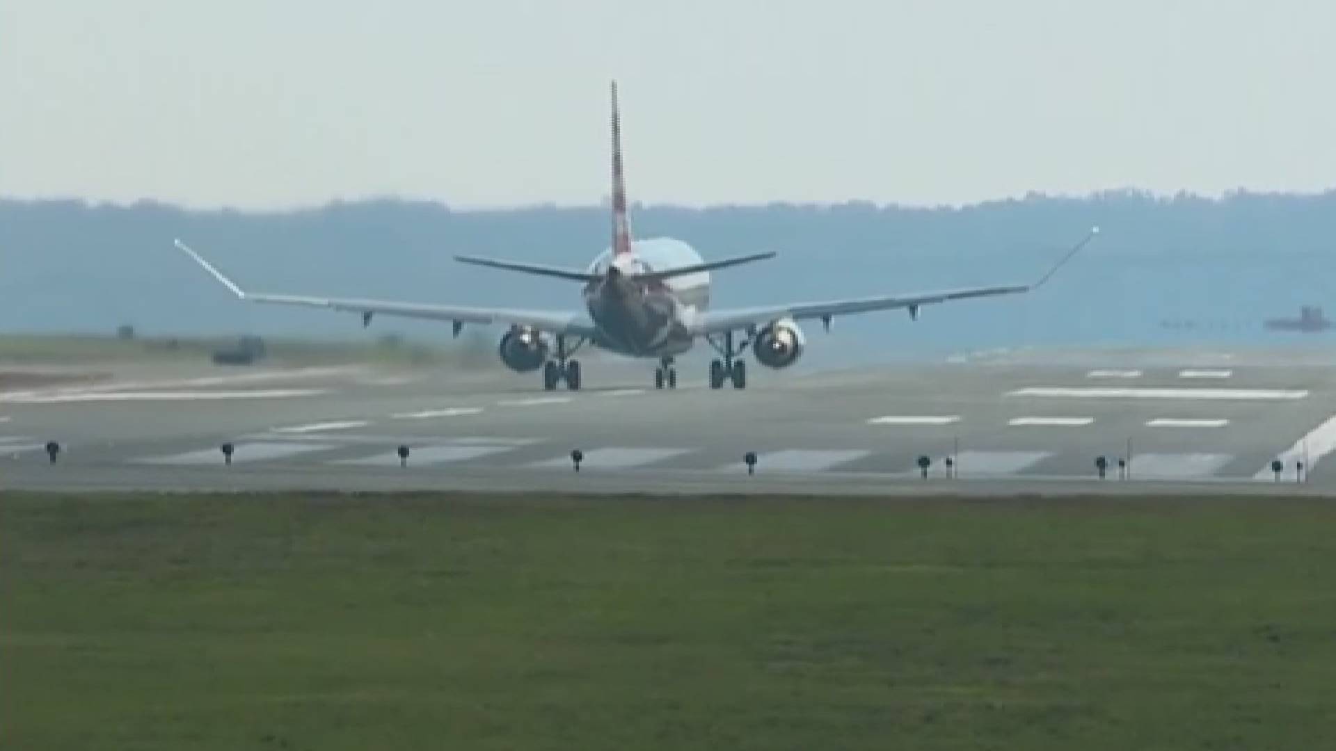 Autoridades preocupadas por cuatro choques de aves contra aviones de