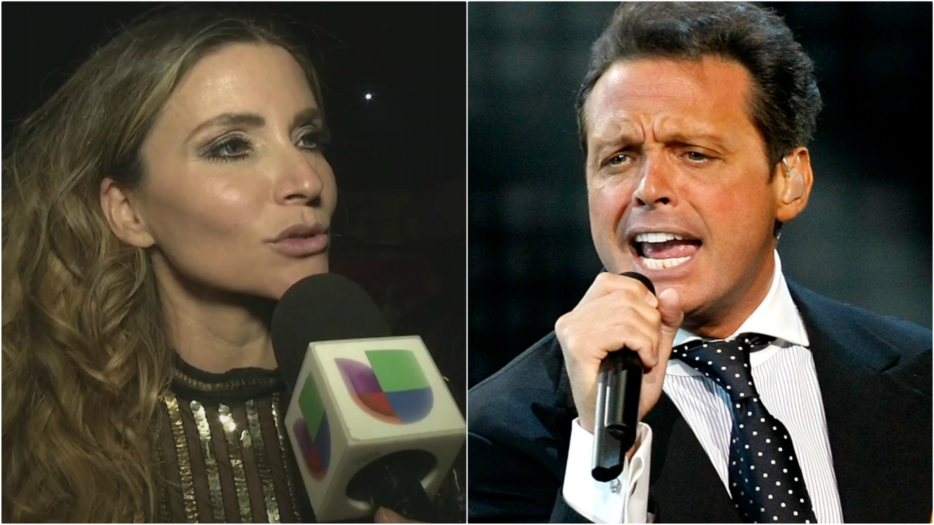 El pedido que le hicieron a la expareja de Luis Miguel para la serie