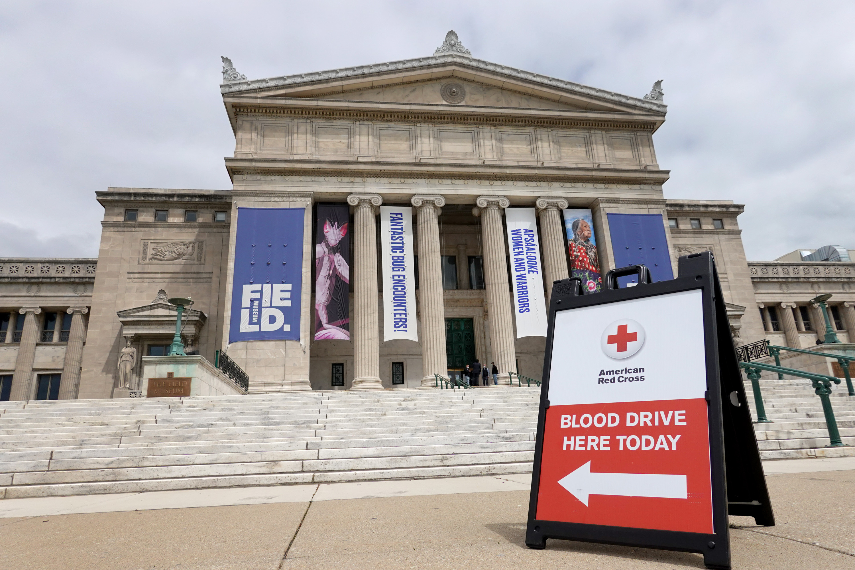 El Museo de Historia Natural de Chicago se convierte en un banco de