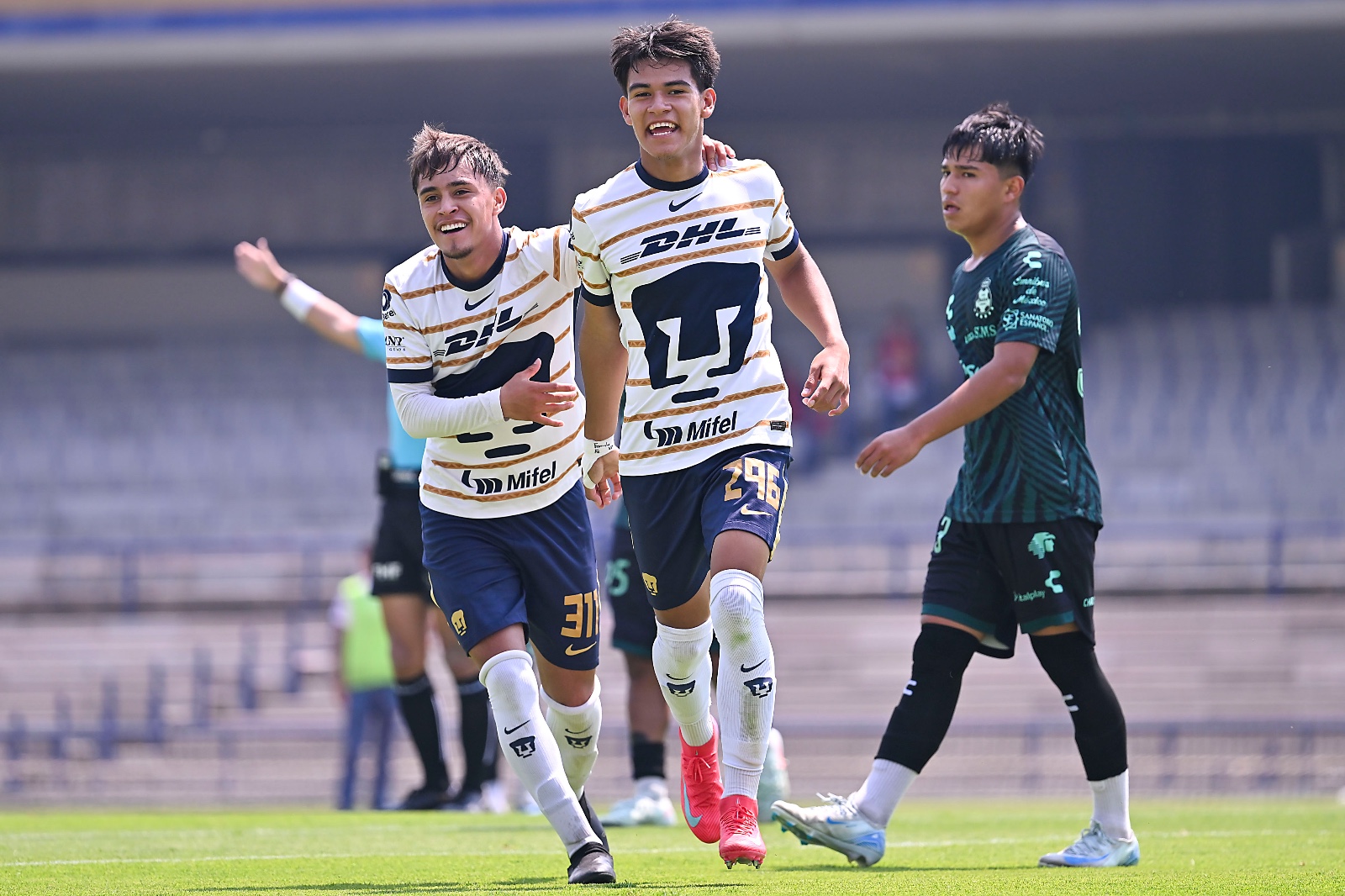 santos pumas