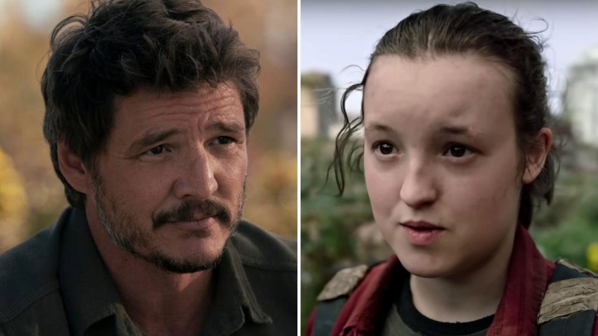 What was Pedro Pascal’s salary in ‘The last of us’ and why did it cause controversy?  we tell you