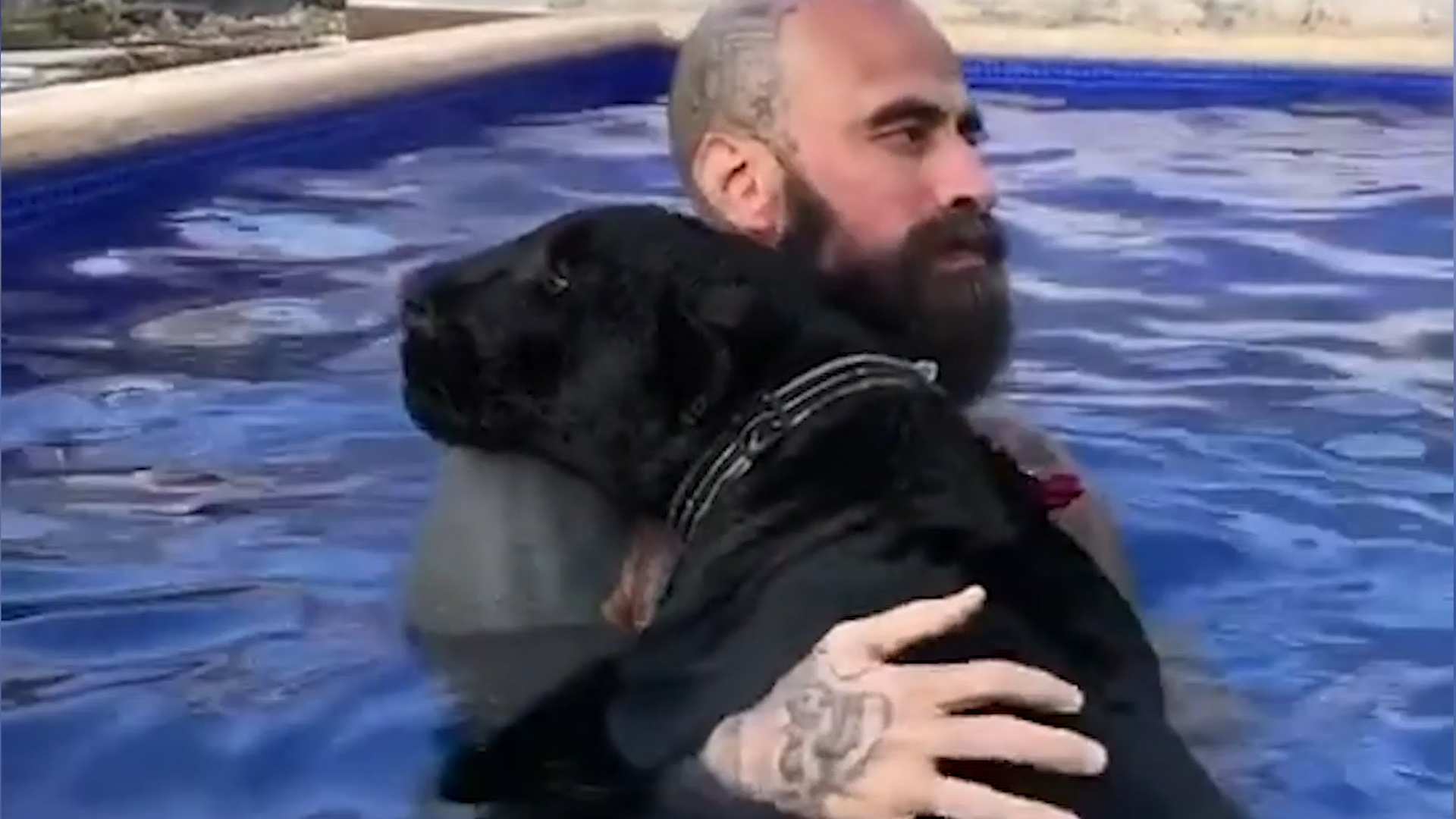 Mira cómo Babo es el más rudo y tierno mimando a su pantera | Shows