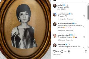 Ari Telch compartió la noticia sobre la muerte de su mamá.