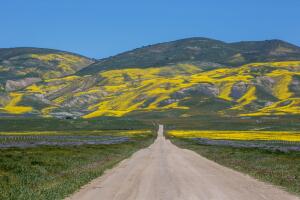 Exploring Carrizo Plain National Monument