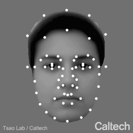 Imagen sobre el reconocimiento facial 