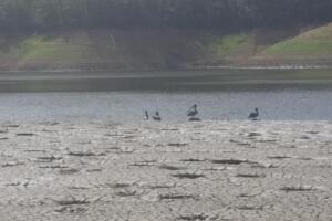 Racionamiento de agua