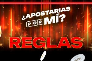 APM_Site-Reglas.jpg
