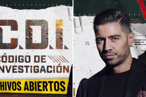 C.D.I. Código de Investigación Archivos Abiertos.