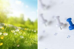 Primavera Texas 2026