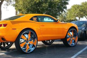 Cosas insólitas que solo se ven en Florida