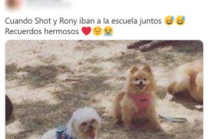 anahi perro5OK.jpg