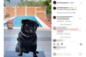 Gordo El Pug Aguilar ¿se burla de Emiliano?