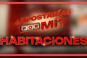 APM--habitaciones2.jpg