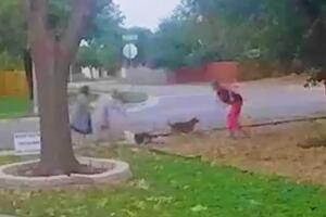 mujer atacada mordidas perros Round Rock Texas