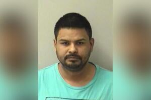 elgin man charges.JPG