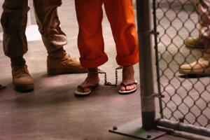 gtmo_iii.jpg
