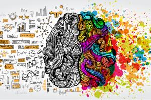 Hemisferios cerebrales