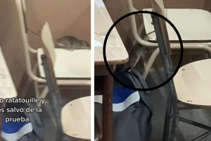 collage_rata_tiktok_2