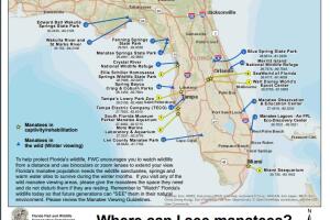 WhatsApp Image 2024-01-01 at 09.28.47.jpeg