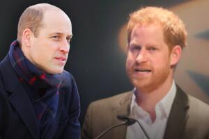 El príncipe William está "molesto" con Harry: opina que sus comentarios están "muy fuera de lugar"