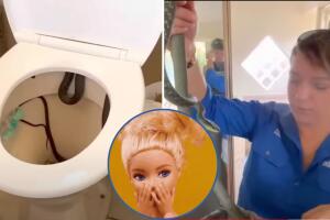 Hombre encuentra serpiente en su inodoro; así la capturaron