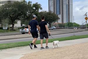 PERROS GALERIA/19-PERRO.jpg