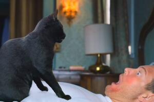 Love In The Villa o Romance en Verona Netflix escena gatos (3).jpg
