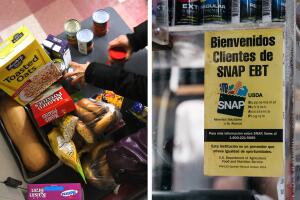P-EBT.jpg