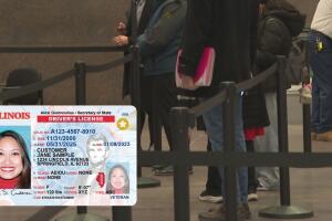 Real ID y licencias de conducir sin cita en estas oficinas de Chicago y suburbios