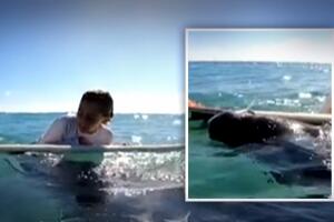 Manatí se acerca a niño que surfeaba