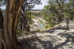 Dinosaur Valley Park y poblados texanos