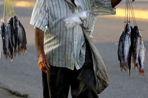 salud oms enfermedades