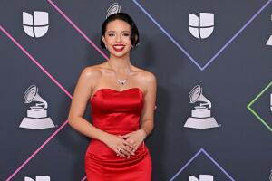 The 22nd Annual Latin GRAMMY Awards - Deadline Photo