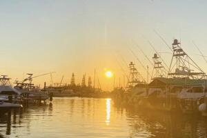 atardecer-houston-34.jpg