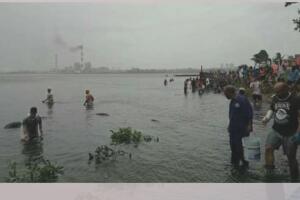 Peces Cuba/Peces2Cuba3.jpg