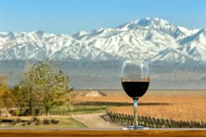Vinos-argentinos-recomendados-01.jpg