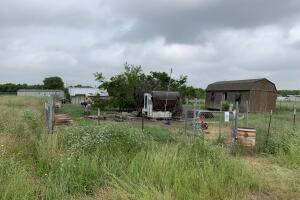 perros sujeto/Perros1.jpg